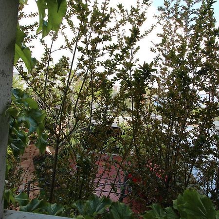 Paraiso Rooms Coliving Madrid Exteriör bild