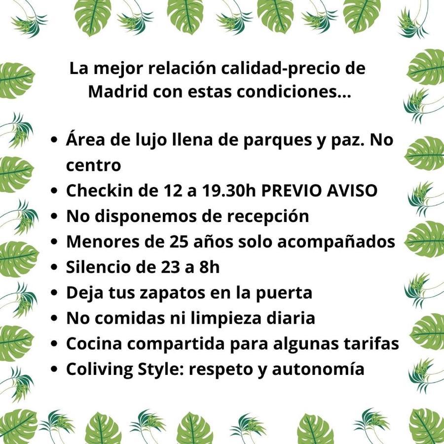 Paraiso Rooms Coliving Madrid Exteriör bild